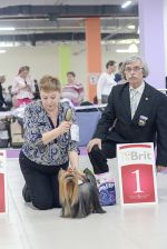 МОНОПОРОДНАЯ ВЫСТАВКА ПОРОДЫ ЙОРКШИР ТЕРЬЕРОВ