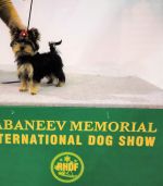 ИНТЕРНАЦИОНАЛЬНАЯ ВЫСТАВКА ПАМЯТИ САБАНЕЕВА-2019