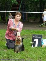 ВСЕ ВЫСТАВКИ, на которых представлены наши собаки.