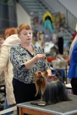 МОНОПОРОДНАЯ ВЫСТАВКА ПОРОДЫ ЙОРКШИР ТЕРЬЕРОВ